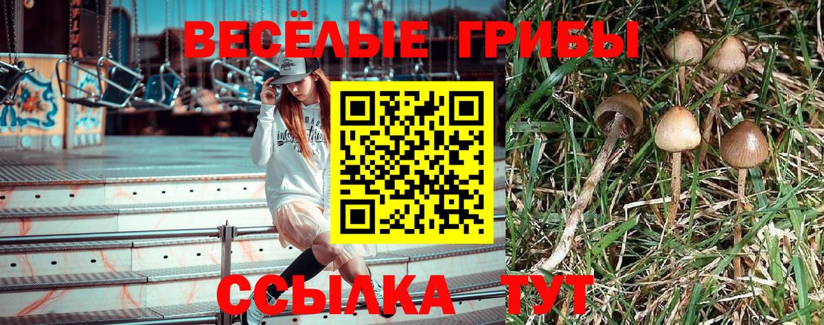 Псилоцибиновые грибы MAGIC MUSHROOMS Хабаровск
